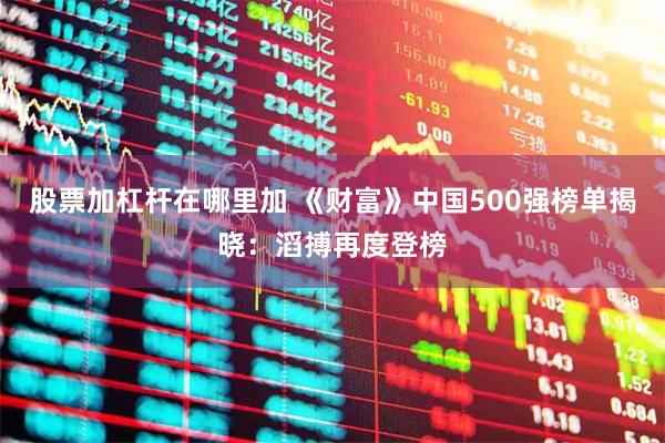 股票加杠杆在哪里加 《财富》中国500强榜单揭晓：滔搏再度登榜