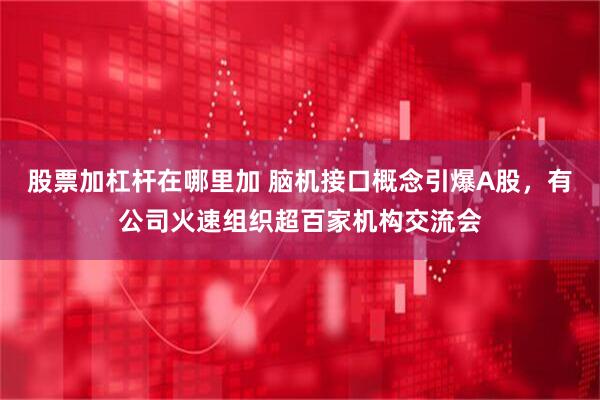 股票加杠杆在哪里加 脑机接口概念引爆A股，有公司火速组织超百家机构交流会
