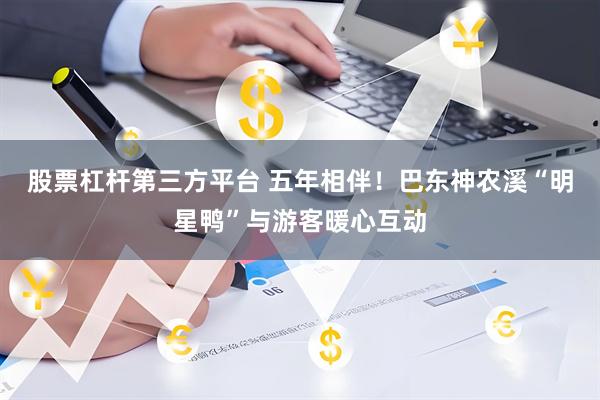 股票杠杆第三方平台 五年相伴！巴东神农溪“明星鸭”与游客暖心互动